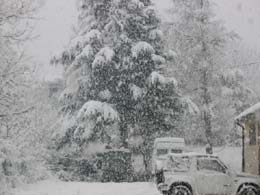 foto bufera di neve del 24 gennaio 2004 4